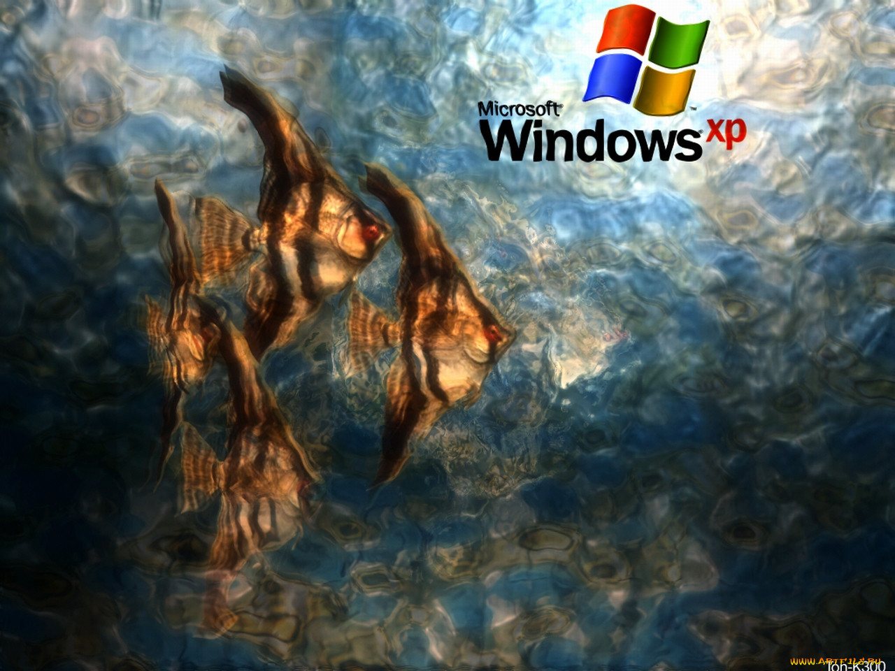 , windows, xp